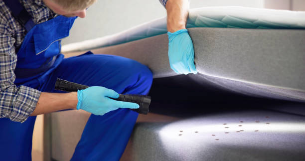 Best Cockroach Control Services  in Collinsville, OK