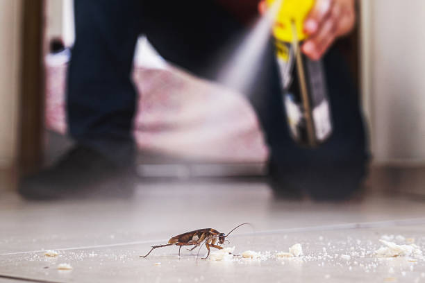 Best Spider Control Near Me  in Collinsville, OK
